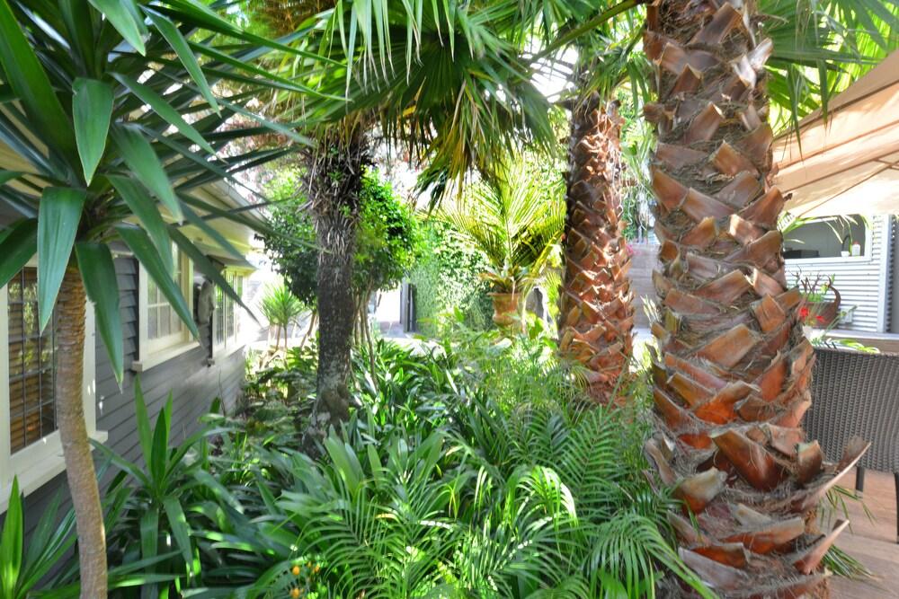 Nice Hotel New Plymouth Esterno foto
